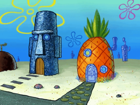 season 8 GIF by SpongeBob SquarePants