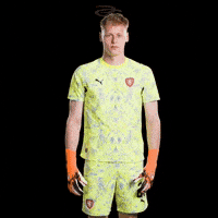 Fifa World Cup Uefa GIF by Respective