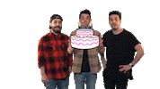 happy birthday fun Sticker by Big Beat Records