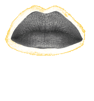 carolinekjellberg food kiss hungry eating Sticker