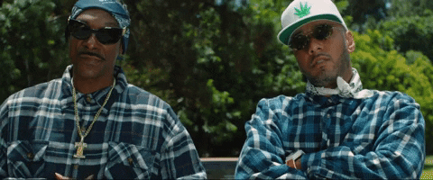 Swizz Beatz Countdown GIF by Snoop Dogg