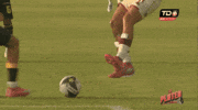 Falta GIF by TD Más