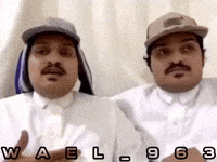 Wael GIF