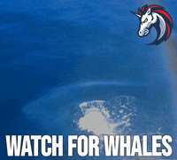 Bitcoin Trading GIF by 1inch