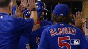 Major League Baseball Love GIF by MLB