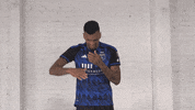 Dance Soccer GIF by San Jose Earthquakes