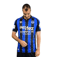 Football Soccer Sticker by Incheon United FC
