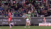 Nrl Weekes GIF by Canberra Raiders