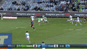 Try Nrl GIF by Canberra Raiders