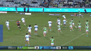 Try Nrl GIF by Canberra Raiders