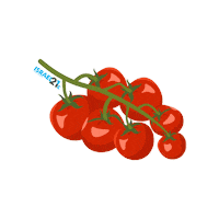 Cherry Tomato Eating Sticker by Israel21c