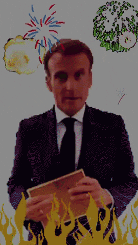Macron Emeute GIF by systaime