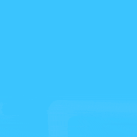 Border Immigration GIF by INTO ACTION