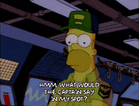 homer simpson GIF
