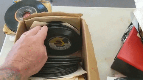 PercyHelton giphygifmaker GIF