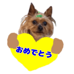 おめでとう Sticker