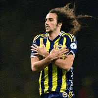 Arsenal Galatasaray GIF