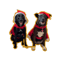 Dog Christmas Sticker