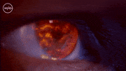 Matt Smith Beauty GIF by Doctor Who