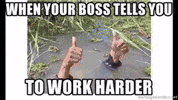 Work Smart GIF by OSHIMA GROUP
