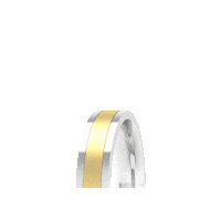 Forever_Us wedding oro joyeria argolla Sticker