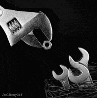 birds nest GIF