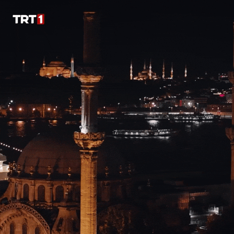 Tuesday Morning Turkey GIF by TRT