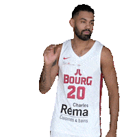 Basketball Sticker by JL Bourg