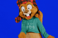Oh Stop Universal Studios GIF by Universal Destinations & Experiences