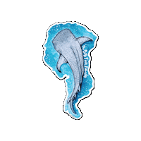 Whale Watercolour Sticker