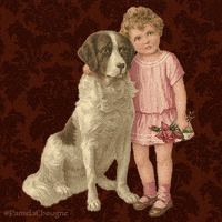 Joyeux Quinquennat GIF