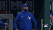 Regular Season Yes GIF by MLB