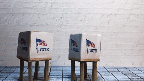 curiousclay giphygifmaker vote election stop motion GIF