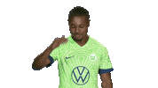 Oh No Football Sticker by VfL Wolfsburg