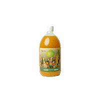 Ginger Lemon Sticker by Gingershotstenerife