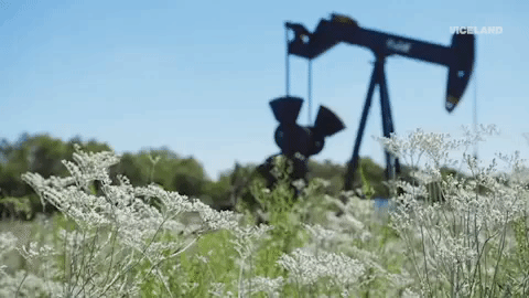 viceland GIF by Hate Thy Neighbor