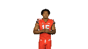 Utah Utes Sticker by Utah Football