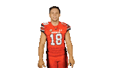 Utah Utes Sticker by Utah Football