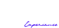 Fashion Love Sticker by The Roxy Experience