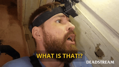 What Confused GIF by Deadstream