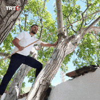 Good Morning Shut Up GIF by TRT