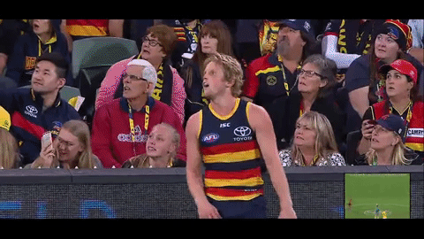 afl celebrate GIF by Adelaide Crows