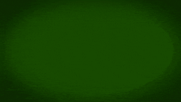 fabricgif lacrosse lax yaz womens lacrosse GIF