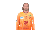 Handball-Bundesliga Berlin Sticker by LIQUI MOLY HBL