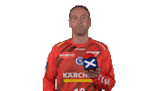 Handball-Bundesliga Sport Sticker by LIQUI MOLY HBL