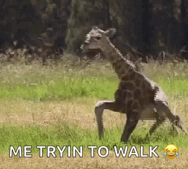 Sore GIF by memecandy