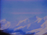 80's vintage GIF by vhspositive