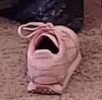 Floptok GIF