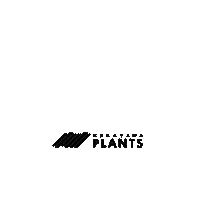 Scindapsus Sticker by NakayamaPlants