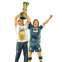 Coppa Italia Sticker by Parma Calcio 1913